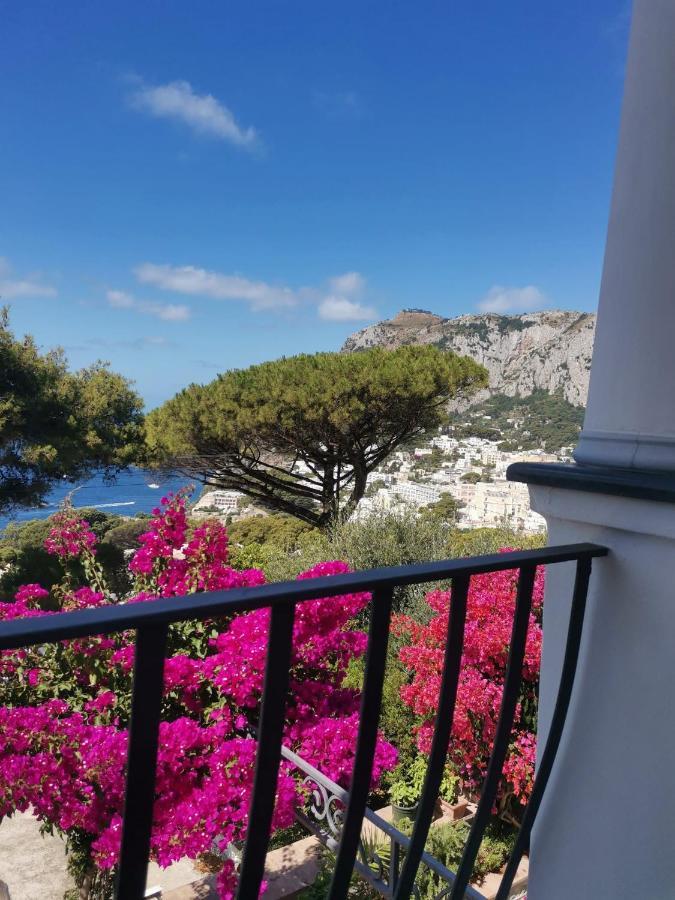Marvelous Sea View Villa カプリ エクステリア 写真